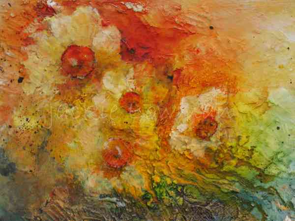 Holiday Lodges - The Joy of Spring Jackie Lowman