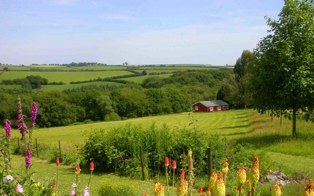 Cutkive Wood Holiday Loges Cornwall