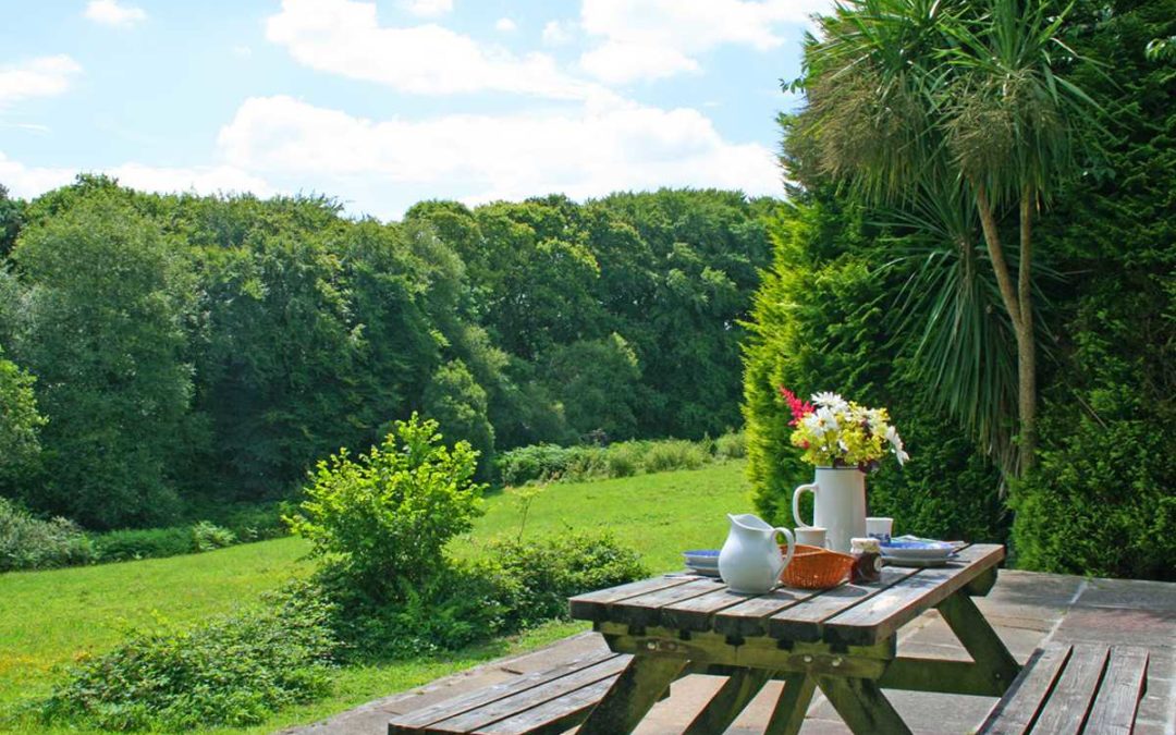 Cutkive Wood Holiday Lodges Breakfast On The Patio