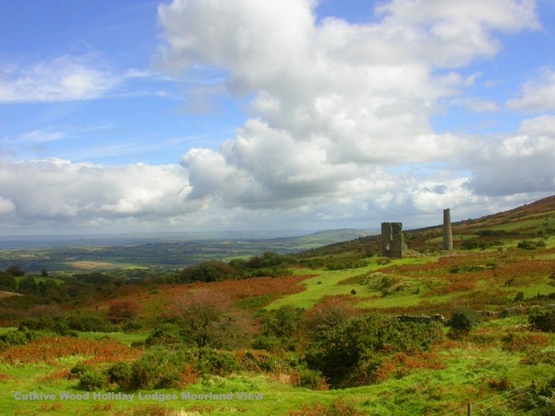 Cutkive Wood Holiday Lodges Moorland View