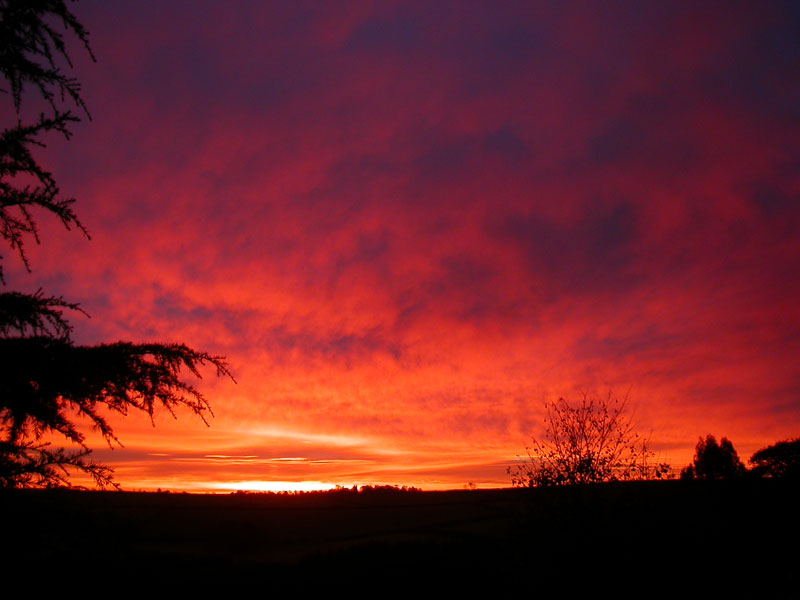 Cutkive Wood Holiday Lodges; Time to Reflect on the Year Gone and the Year to Come