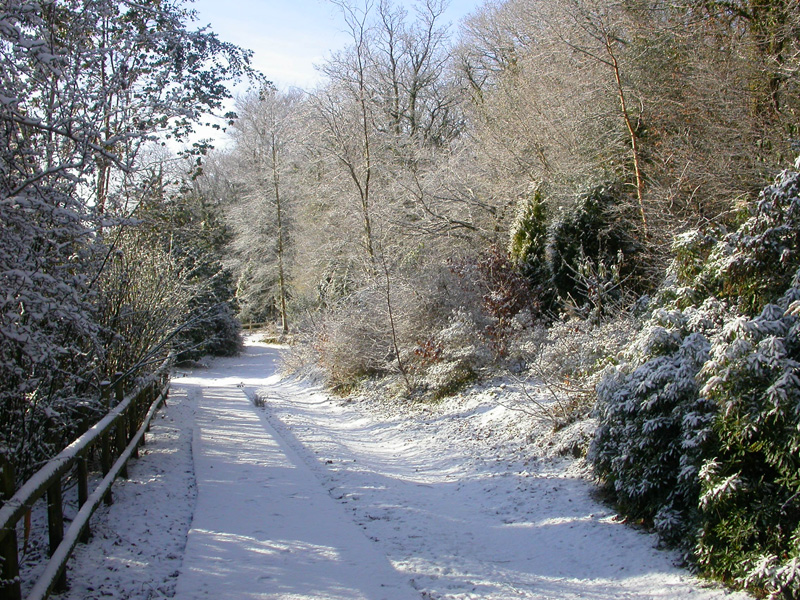 Wishing You All a Very Happy Christmas from Cutkive Wood Holiday Lodges