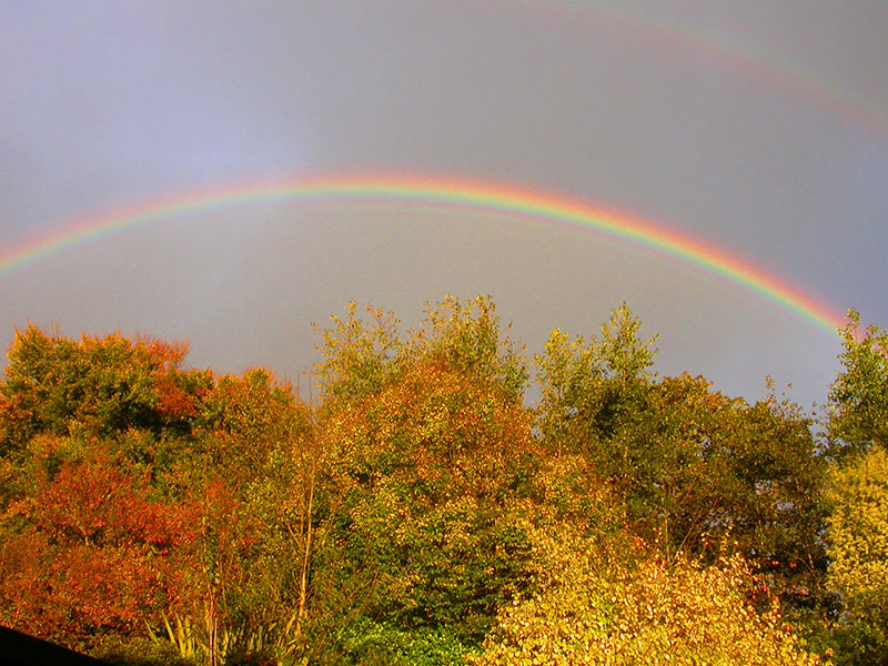 Rainbow over Cutkive Wood