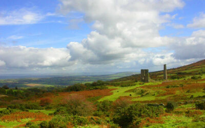 How nice just to get away from it all: Cutkive Wood Holiday Lodges